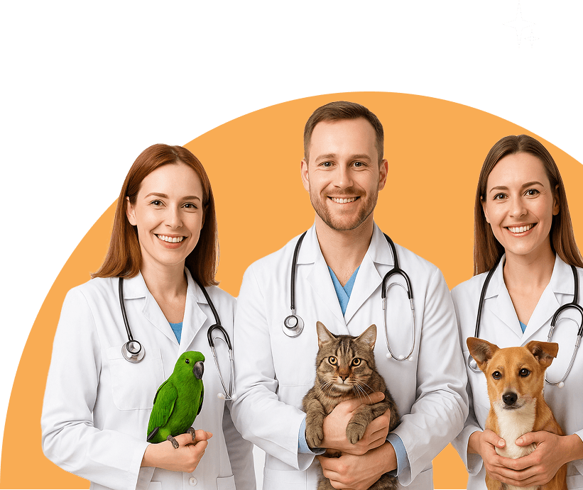 Echipa Duppy Vet pregătită pentru urgențe