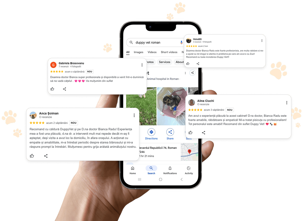Recomandări Google ale clienților Duppy Vet